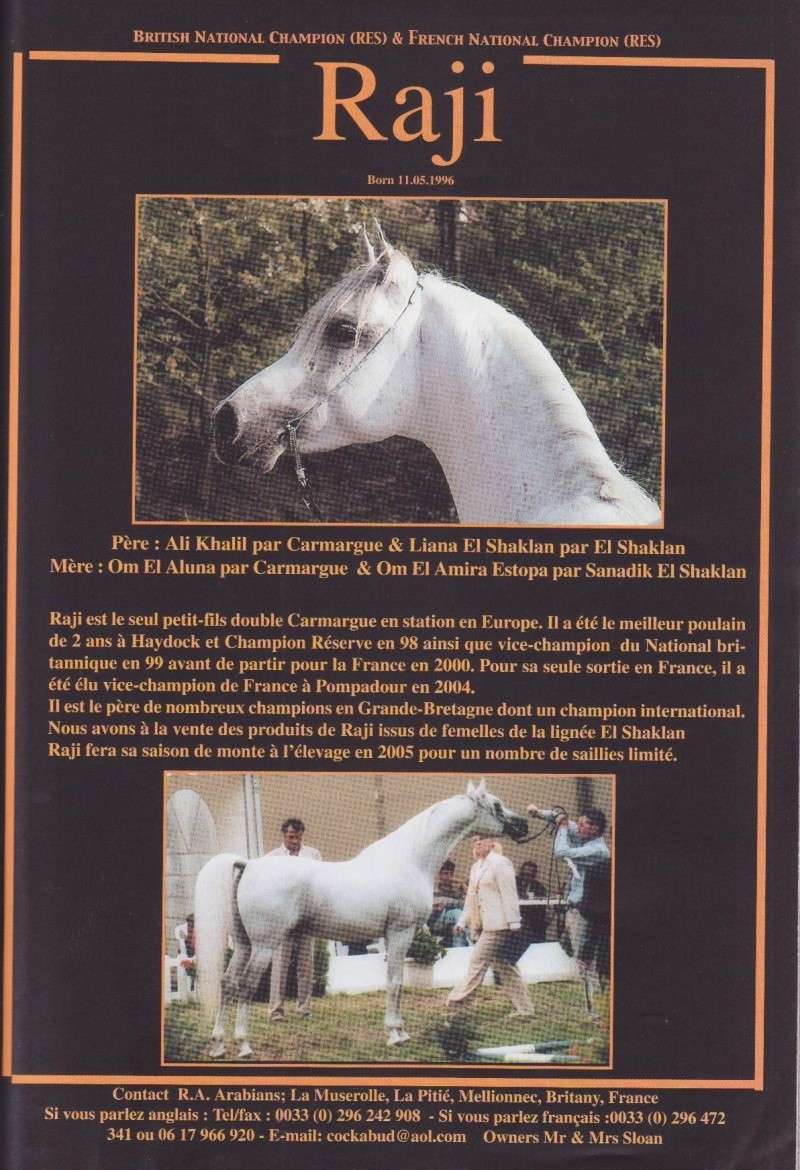 mes chevaux - Page 2 Raji2110