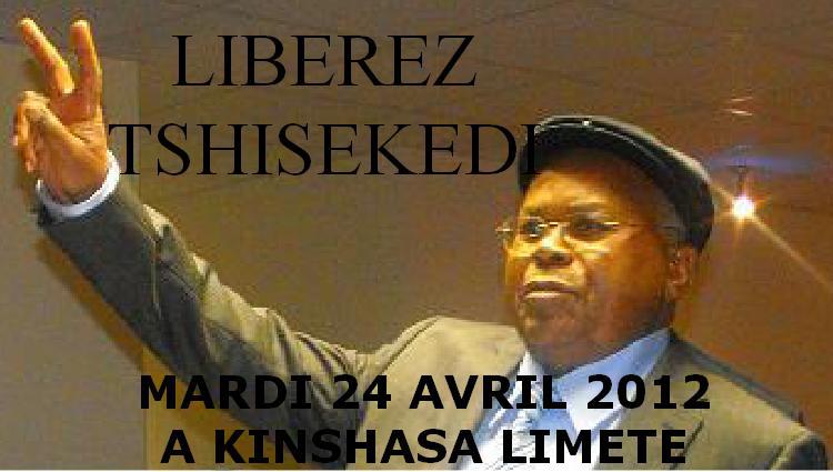 Etienne Tshisekedi à la primature: pour ou contre? - Page 4 42478810