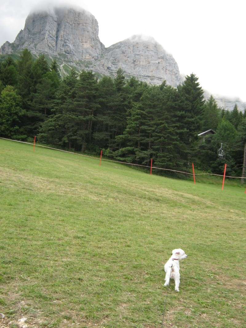 Incs en vacances dans le Vercors Photo_29