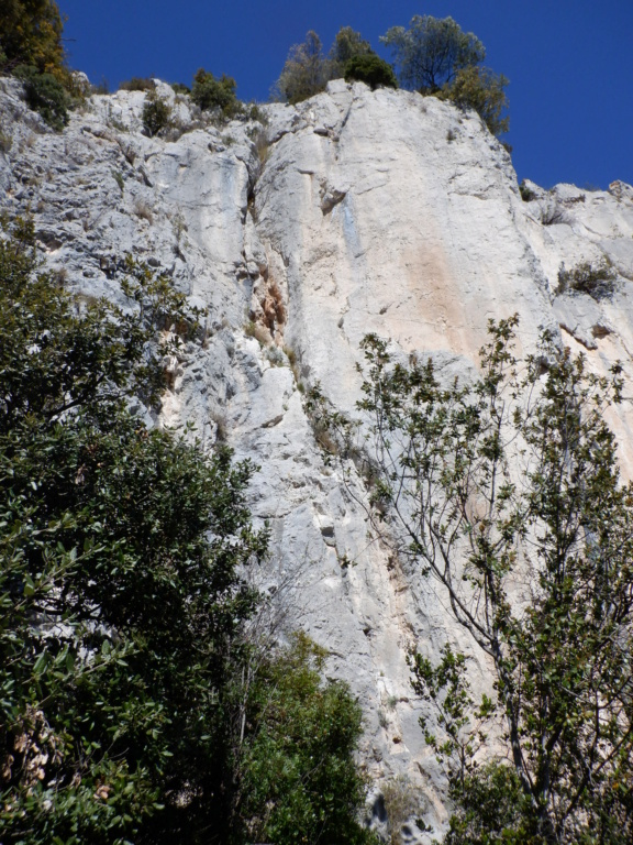 arete des hirondelles à la turbie  Dscf8311