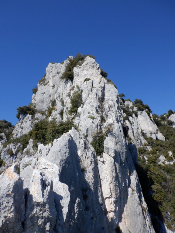 arete des hirondelles à la turbie  Dscf8313