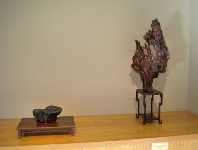 Potomac Viewing Stone Group exhibit - Magic from Earth & Water (NBPM, 11/19 - 12/18) Chris_11