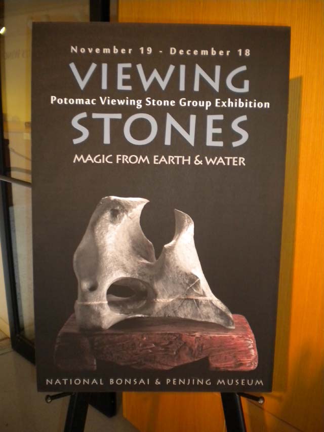 Potomac Viewing Stone Group exhibit - Magic from Earth & Water (NBPM, 11/19 - 12/18) Dscn0510