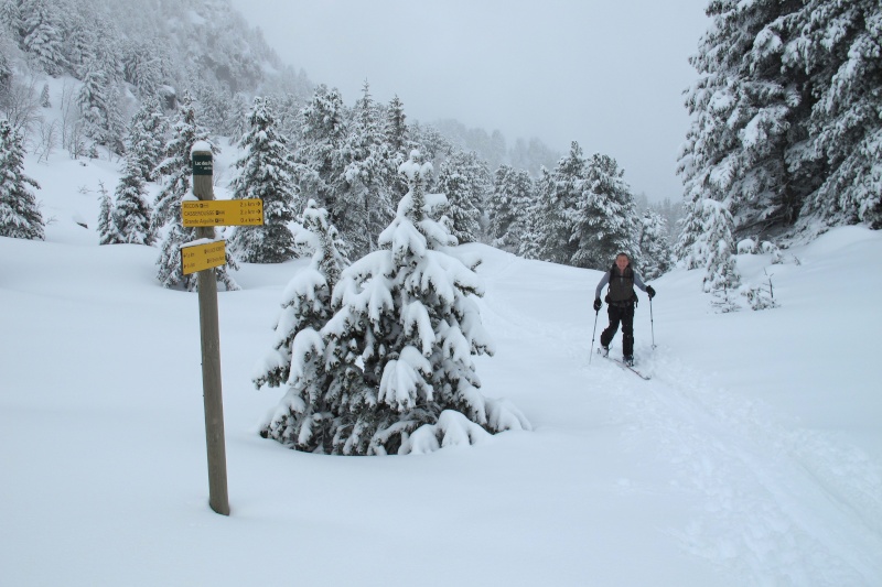 15/04/2012 - Croix de Chamrousse Img_2920