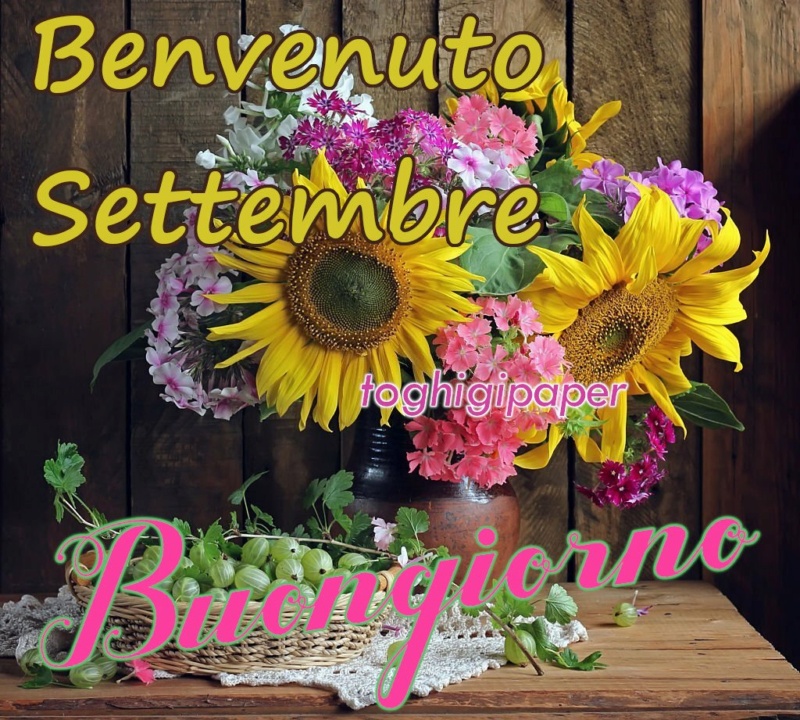 I Saluti di Settembre  Benven19