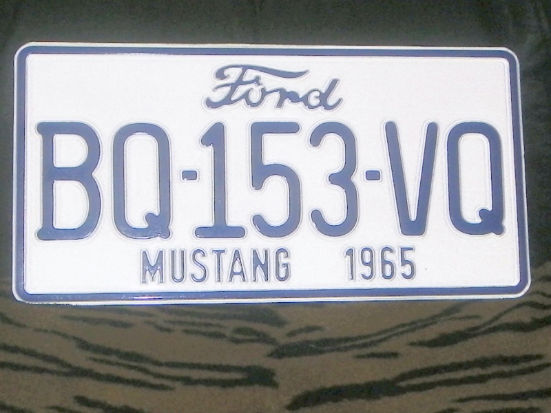 Mustang 1965 Hard Top  - Page 2 Imgp0310