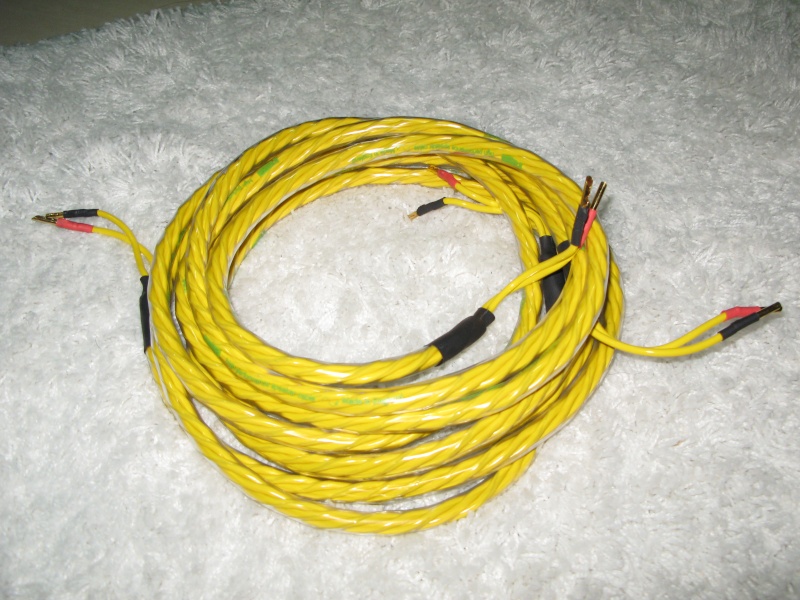Rega SC42 speaker cable (Used) SOLD Img_0210