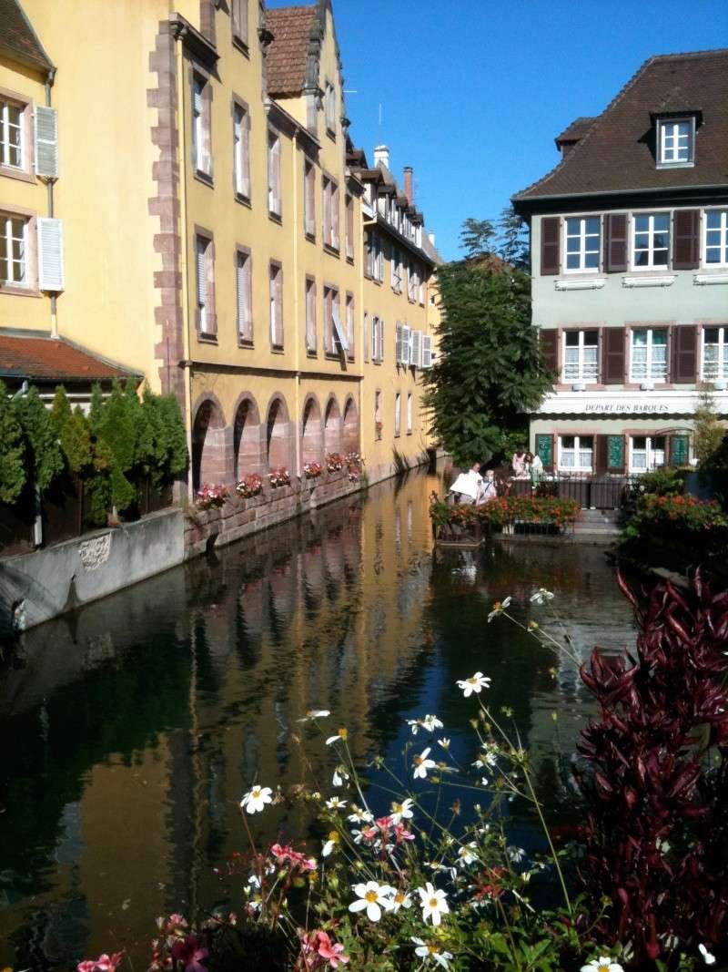 Route des crêtes / Forêt Noire Colmar10