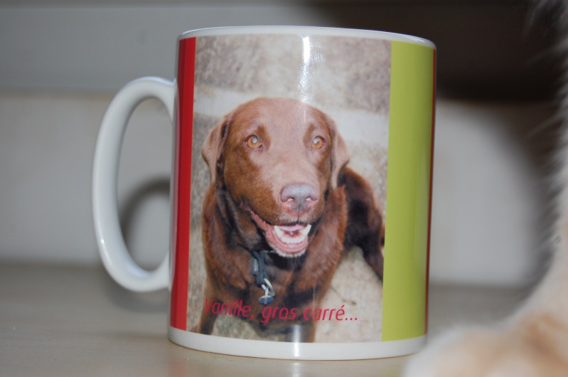 Des mugs originaux et personnalisables pour aider CDLB! Dsc_0155