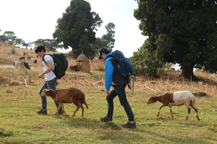 [15.02.12] Junho en Ethiopie (pour EBS Global Project) 2529