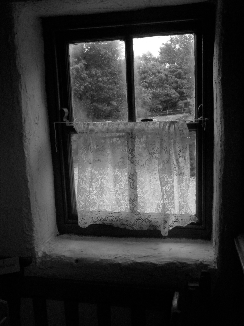 Borrowed Quietly Window10