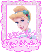 فلاشات المولد النبوي User5012