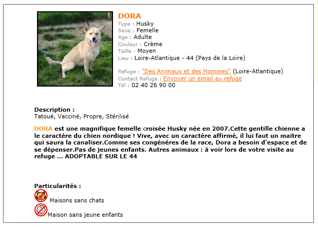 DORA Labrador x husky, 4 ans très gentille REF:44 Sans_t14