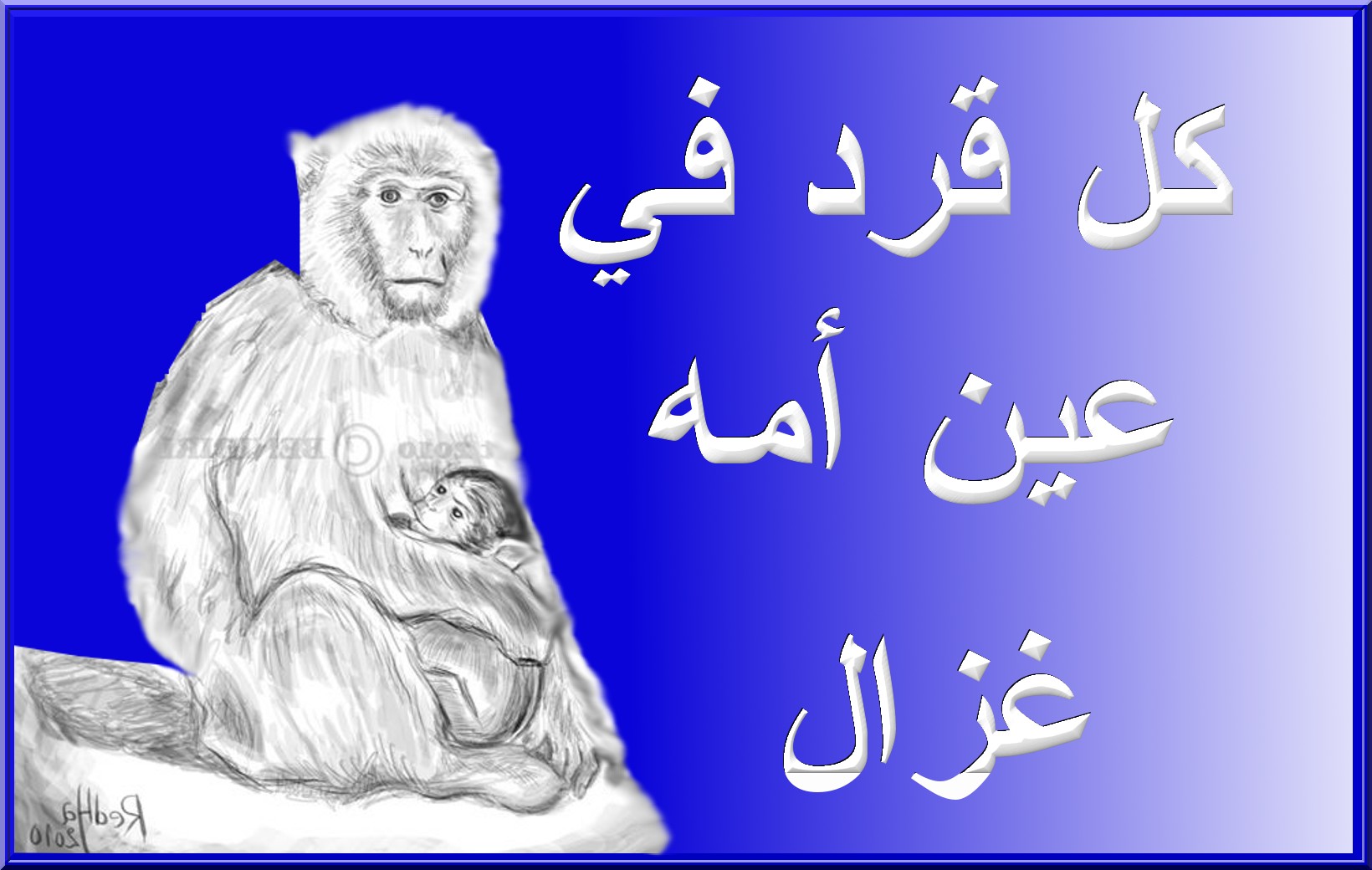 امثال شعبية تونسية 226