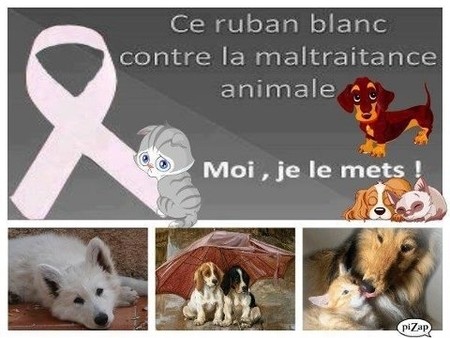 un ruban blanc contre la maltraitance des animaux Ruban_10