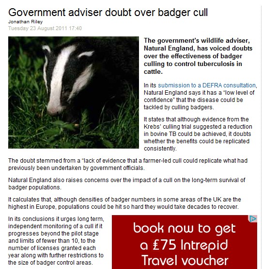 badger cull - Badger Cull Protest - Page 2 Badger10