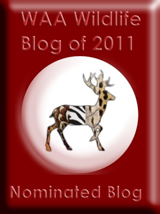 WAA Wildlife Blog of 2011 -Nominations Waa_bl13