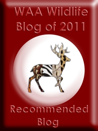 WAA Wildlife Blog of 2011 -Nominations Waa_bl14