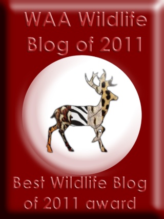 WAA Wildlife Blog of 2011 -Nominations Waa_bl15