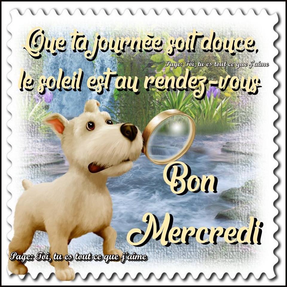 juin 2018 - Page 11 Mercre11