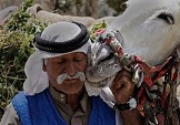 فلسطينيون FAQ Palast10