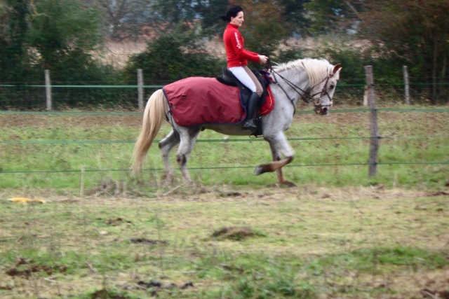 travail avec shogun Sam_1813