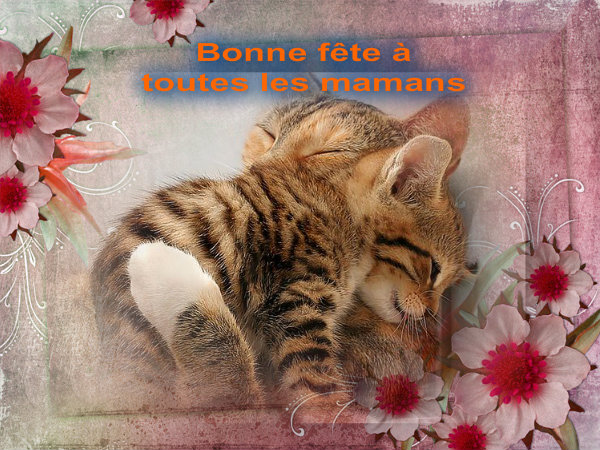 Discution sur l'etoile - Page 2 Pizap_10