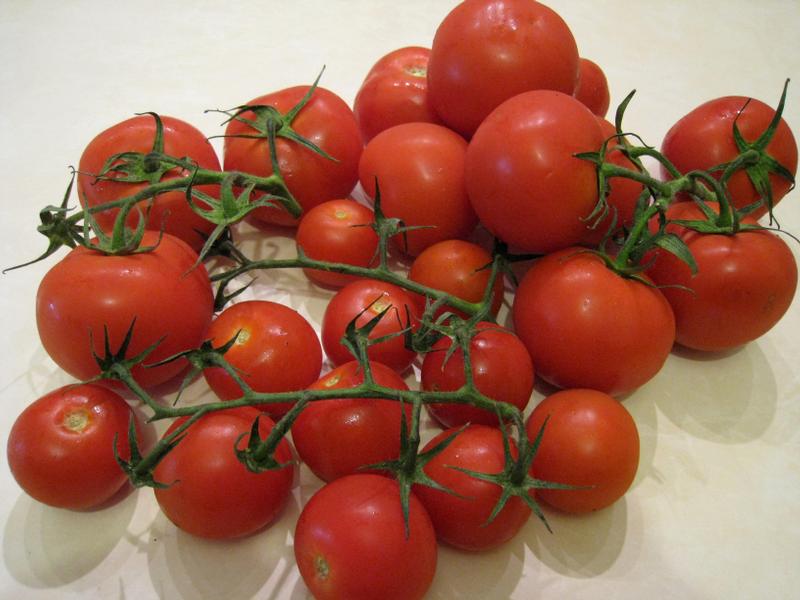 Les Tomates. Tomaaa10