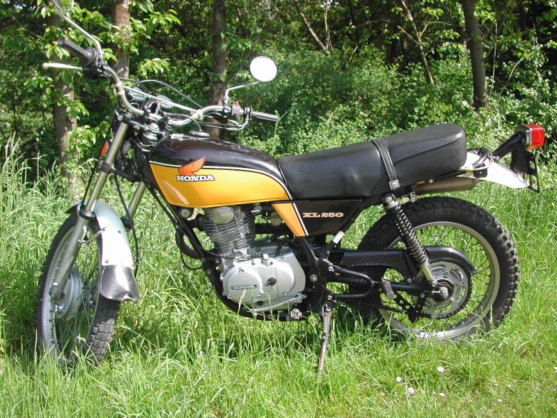 XL 250 jaune de 1975 Dscn3811