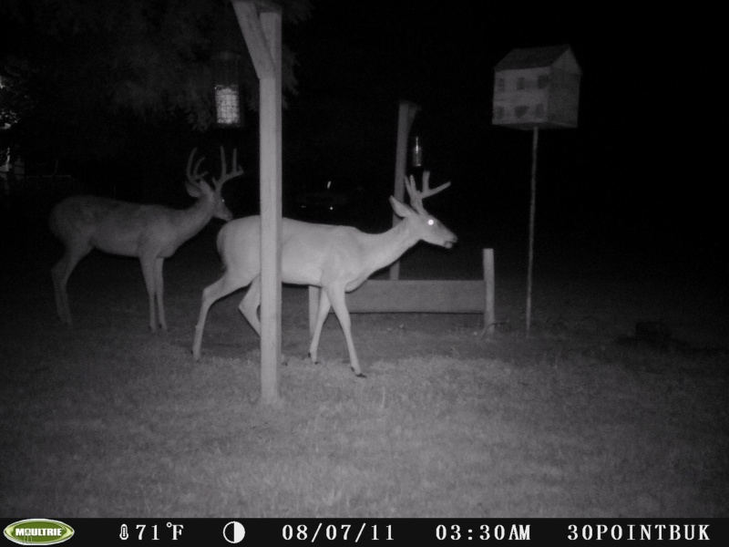 my hit list buck (BOSS)..lets see yours Pict0014