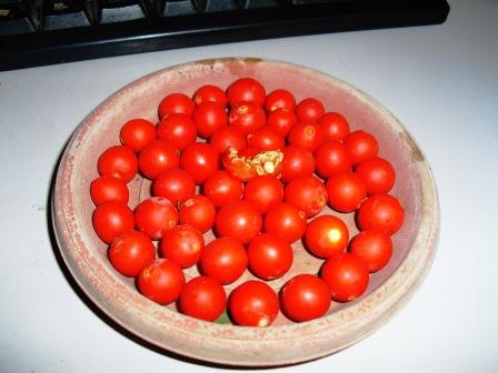 Solanum Ou Pommier D Amour