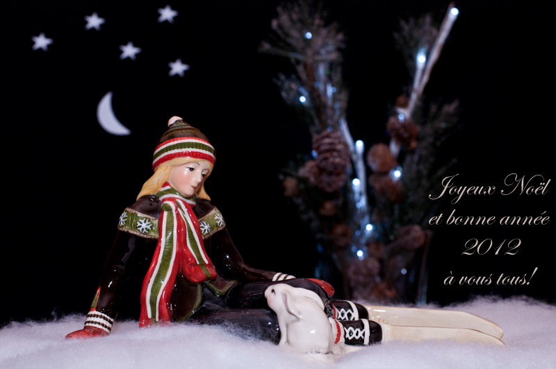 Joyeux Nol et bonne anne 2012! Dsc_1410