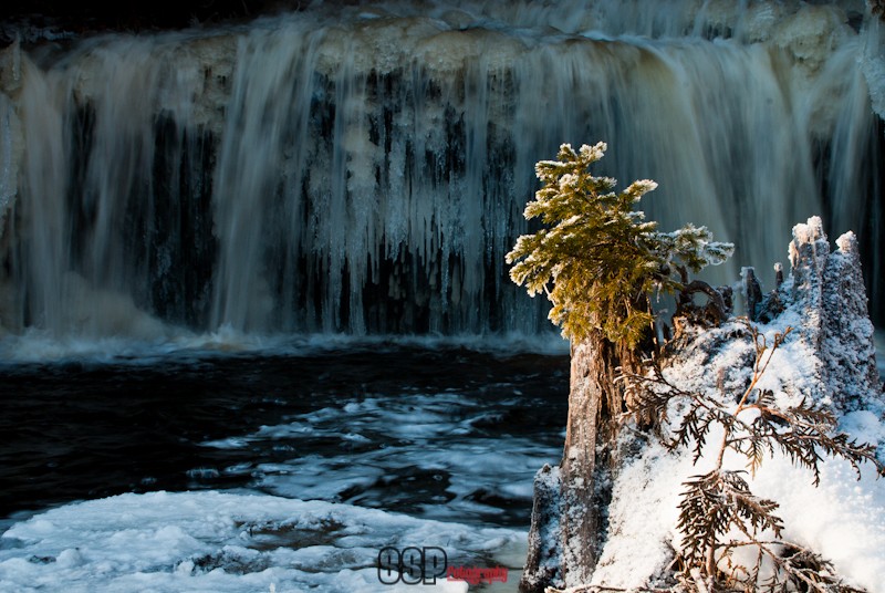 Fil d'eau oups de glace ! Dsc_7510