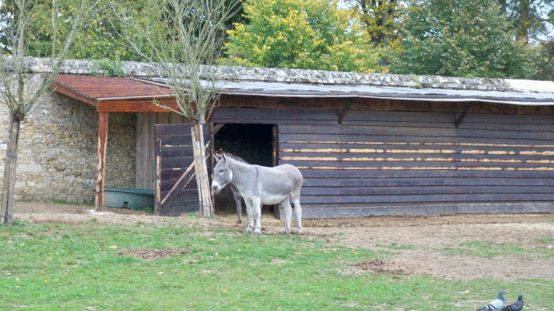 le Hameau de la reine - vues extérieures - Page 9 100_4213