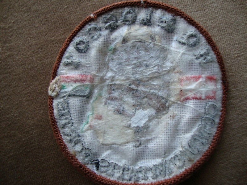 Danish Logistics Patch used in Iraq. Dsc05036