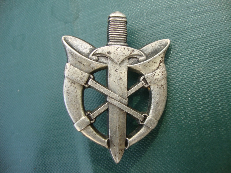French Beret Cap Badges. Dsc06619