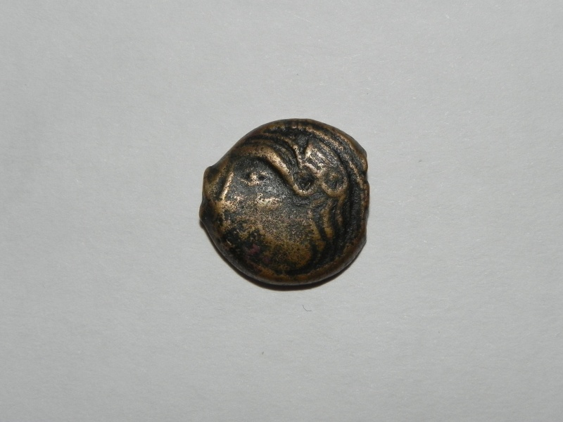 Bronze à l'Aigle des Carnutes [WM n° 8420] Carnut10