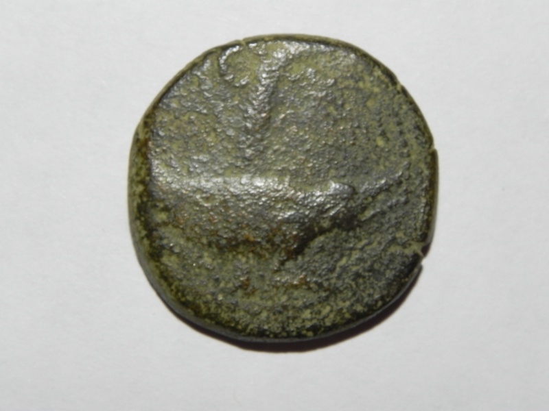 Dupondius Type 1 ?? Dupond13