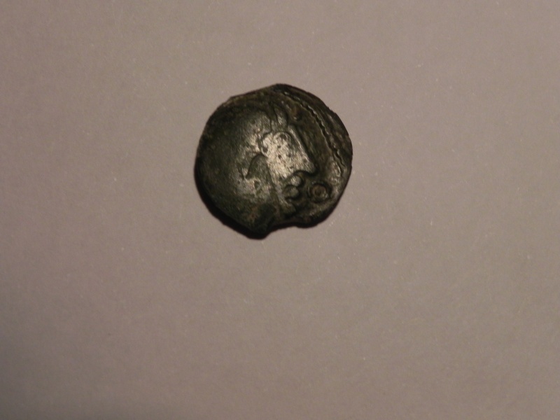 Bronze VIIRICIVS (Pagus Catuslugi)[WM n° 7818] Pagusc10