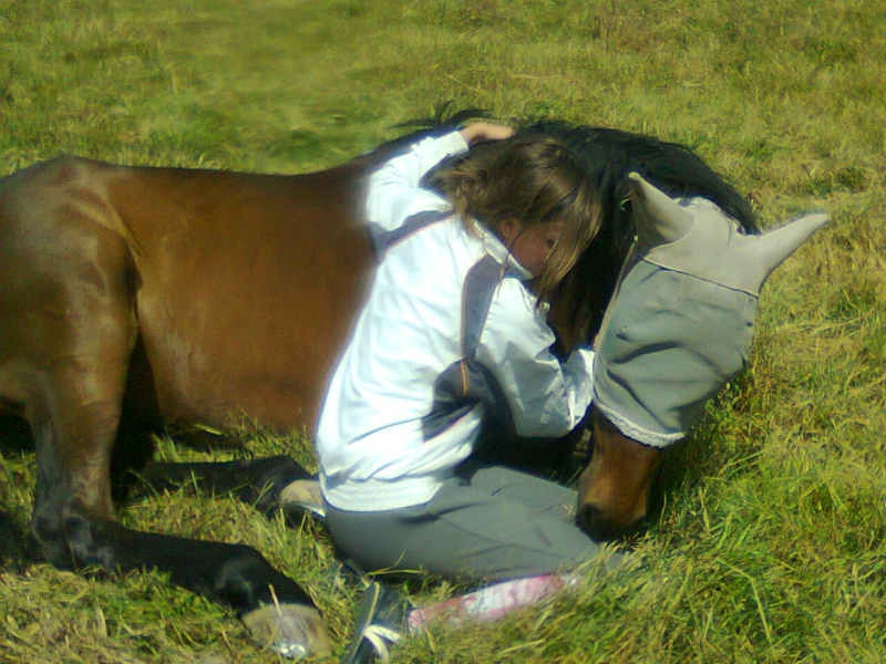 Jahan , mon petit cheval♥ Photo011