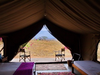 Kenya Tsavo, Lualenyi Camp 32106310