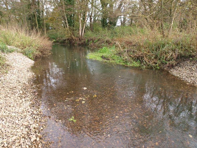 EA November River Stocking P1010241