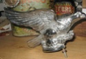 d ou vient cette oiseau pour john dufrenne Img_3612
