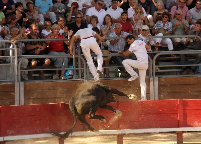 VENDARGUES - Avenir Concours de Manades 22-07-2012 Avenir20