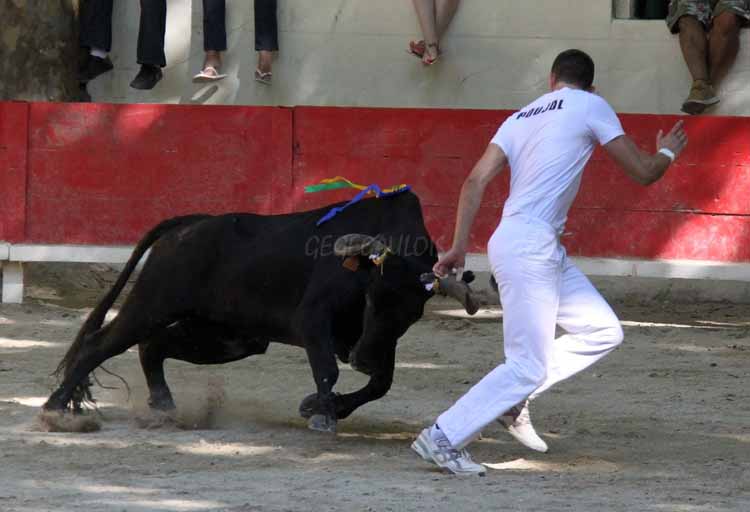 SOMMIERES   AS  Concours de Manades  31-07-2011 Sommie12