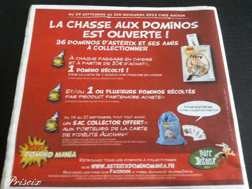 Gros plan sur "Opération DominoMania Auchan" Photo173