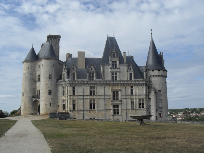 CHATEAUX ET BELLES DEMEURES DE NOS REGIONS - Page 4 16010