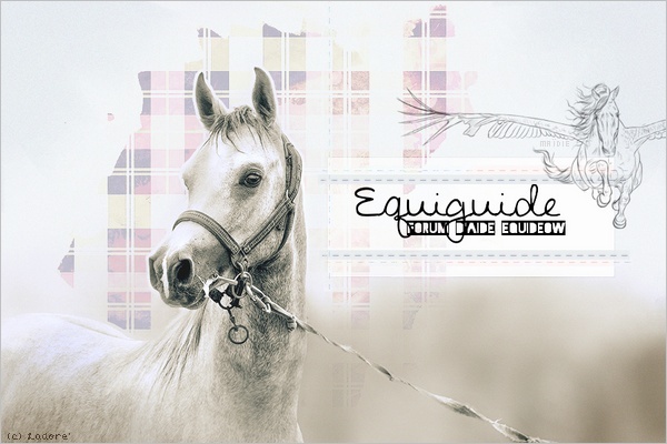 Equid'Guide