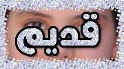 لا مساهمات جديدة لا مساهمات جديدة