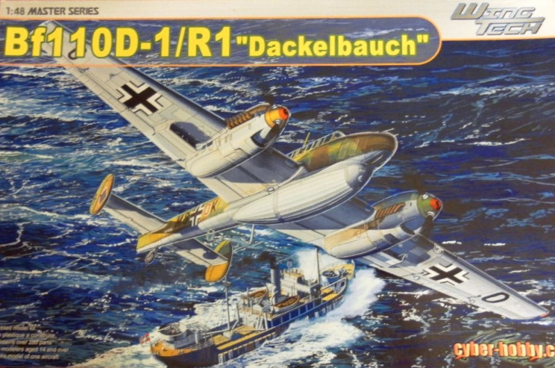 Messerschmitt BF 110D-1/R1 dackelbauch [cyber hobby] 1/48    Sam_5651